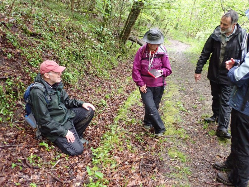 Exploring the Blackdowns - Somerset Rare Plants Group